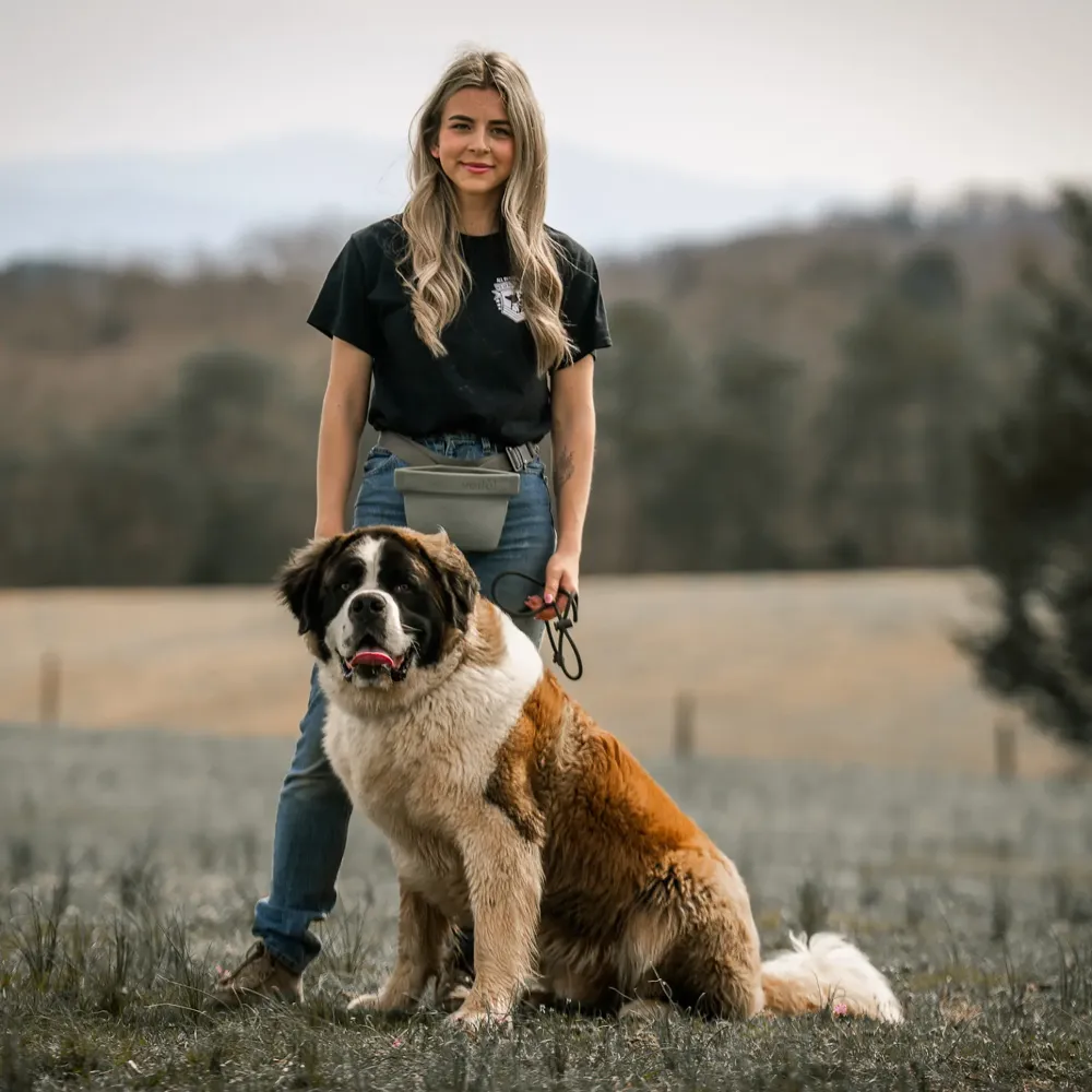 A trainer standing behind a large brown and white Saint Bernard sitting calmly in an East Tennessee field