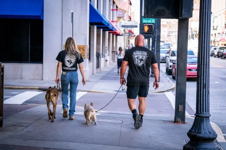 Trainers heel-walking two dogs on a downtown Knoxville sidewalk