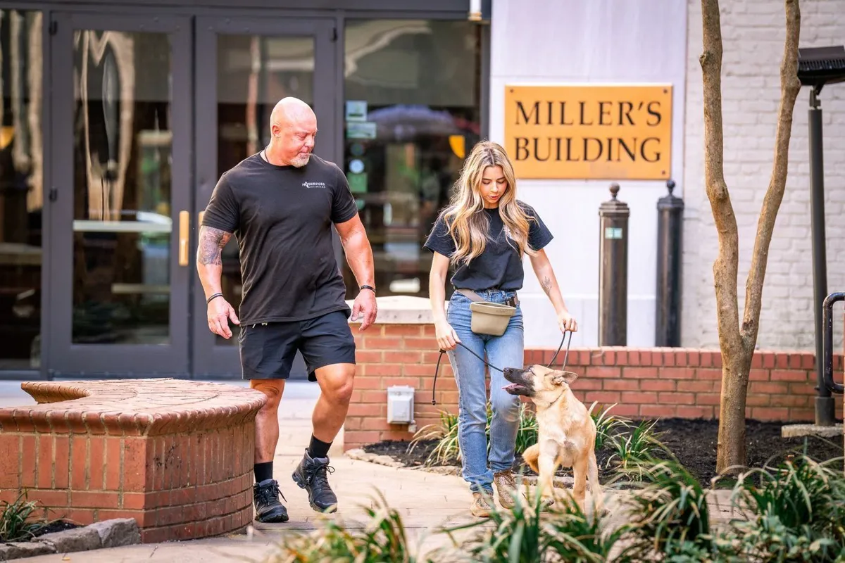 Trainers walking dogs past the Miller's Building in downtown Knoxville