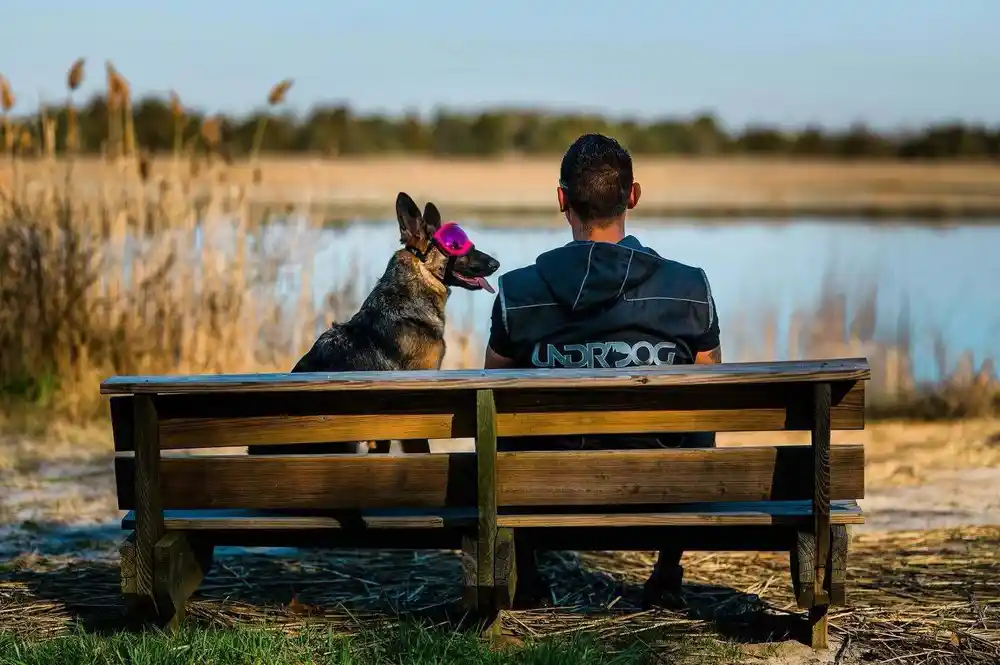 A dog sitting beside a man on a bench by a lake